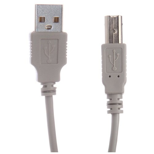 Аксессуар Gembird USB AM - USB BM 3m CC-USB2-AMBM-10 кабель usb 2 0 gembird cc usb2 ambm 6 am bm 1 8м белый