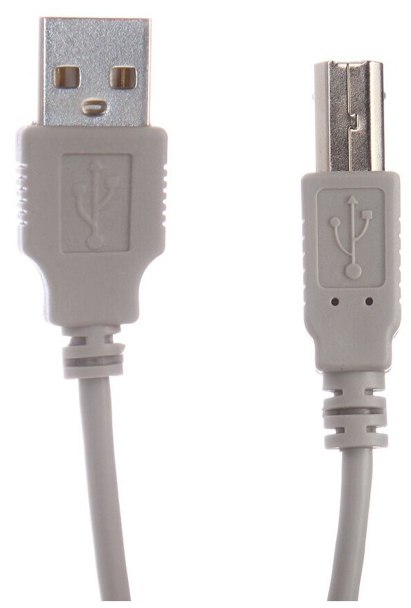 Аксессуар Gembird USB AM - USB BM 3m CC-USB2-AMBM-10