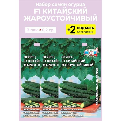 Семена Огурец "Китайский жароустойчивый", 3 упаковки + 2 подарка