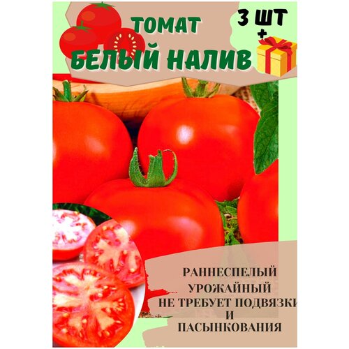 Томат Белый налив 241 скороспелый 3шт набор семена томатов альфонс f1 для теплицы и открытого грунта 2 шт