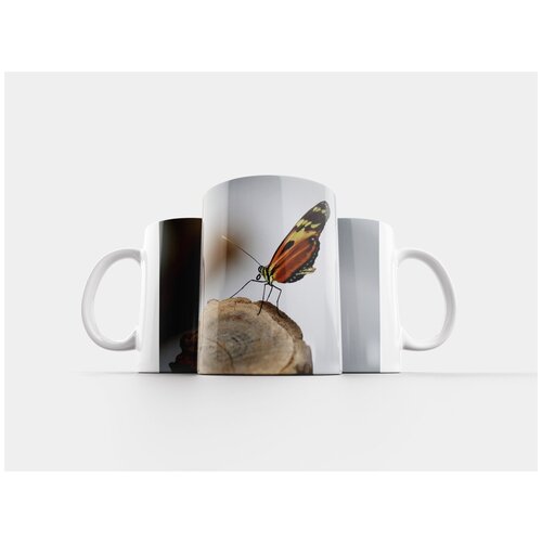фото Кружка "бабочка, насекомое, природа" 320 мл lotsprints