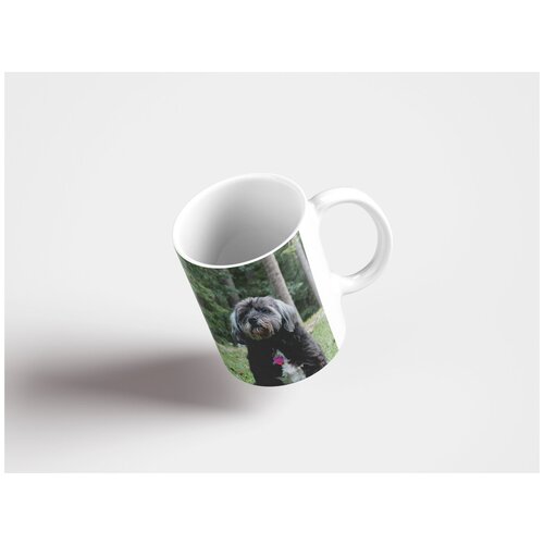 фото Кружка "собака, животное, зрелый 320 мл. белая" lotsprints