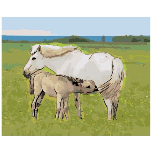 фото Картина по номерам, 60 x 75, z- z1012273, "живопись по номерам", набор для раскрашивания, раскраска