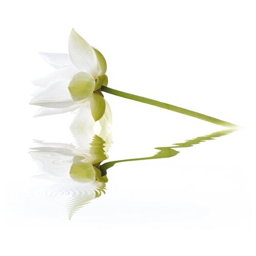 City White Lilies Панно 40x50 (2пл)