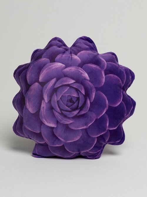 Подушка Суккулент Echeveria elegans purple Эхеверия элеганс фиолетовая