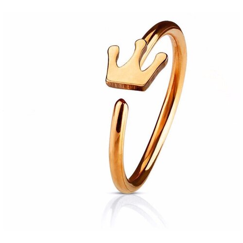 Пирсинг 4Love4You, кольцо, нержавеющая сталь, размер 8 мм., золотой