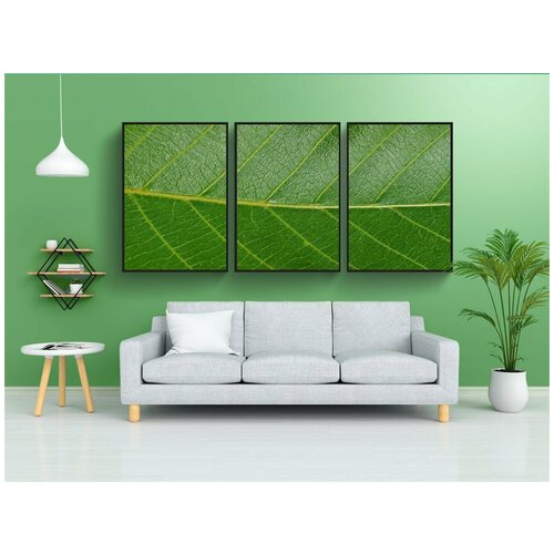 фото Набор модулных постеров для интерьера "лист, грецкий орех, листья" 60x90 см. в тубусе, без рамки lotsprints