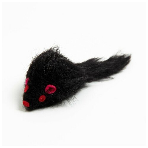 Игрушка для кошек Мышь малая, 5 см, чёрная