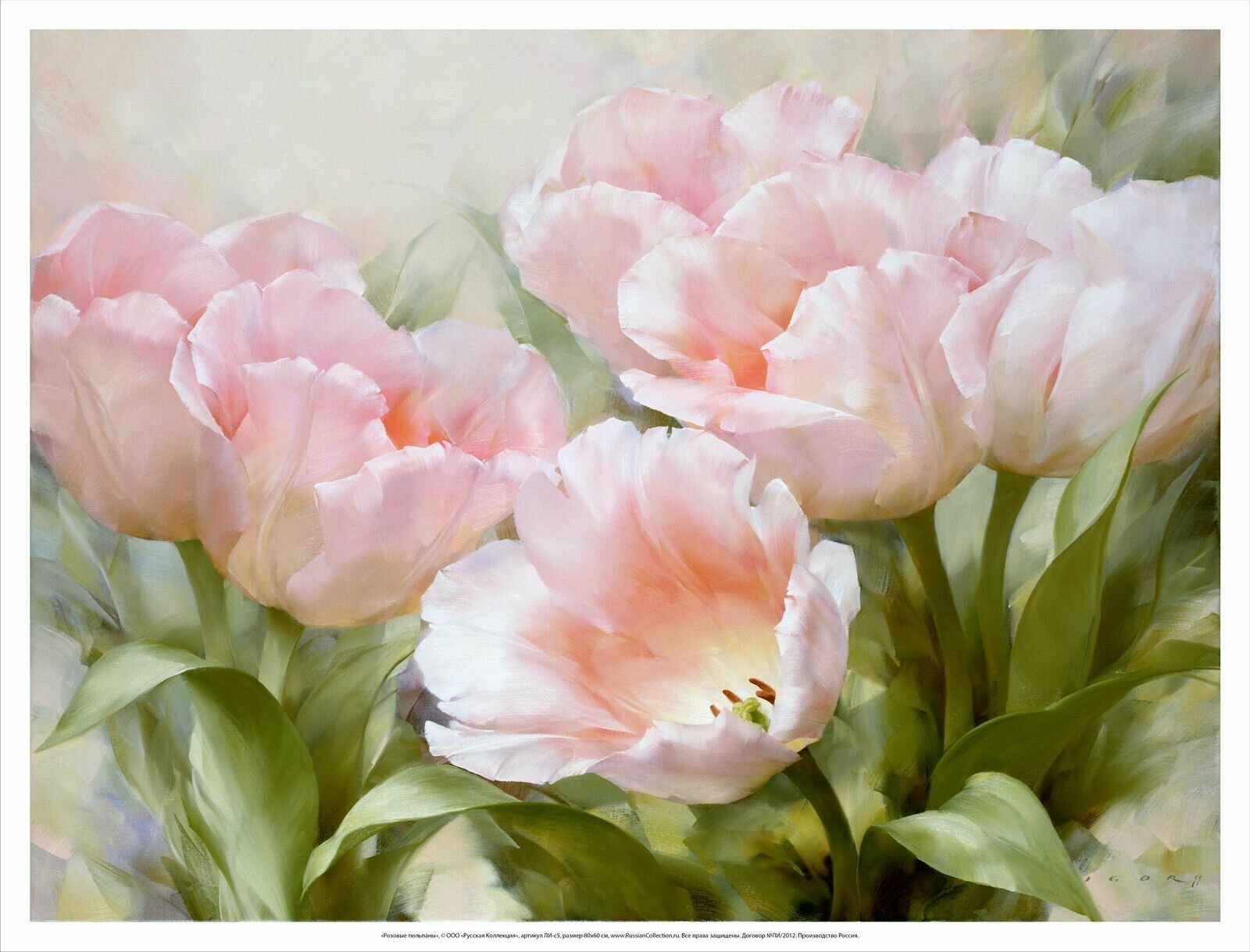 Постер на холсте, "Розовые тюльпаны", 80х60 см, художник - Левашов Игорь, Холст в рулоне, Арт. ЛИ-р5