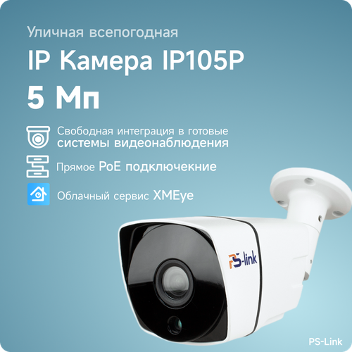 Камера видеонаблюдения PS-Link IP105P белый 700000₽