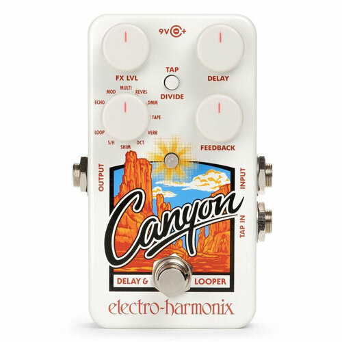 Electro-Harmonix (EHX) Canyon Delay and Looper