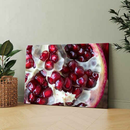 Картина на холсте (Крупный план семечка с надкуской) 40x60 см. Интерьерная, на стену.