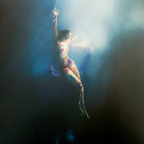 Виниловая пластинка Goulding, Ellie, Higher Than Heaven (0602448146311) Universal Music - фото №3