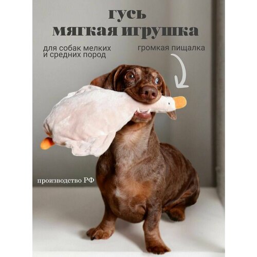 Мячик для собак и кошек OwlEarlyBird 1071₽