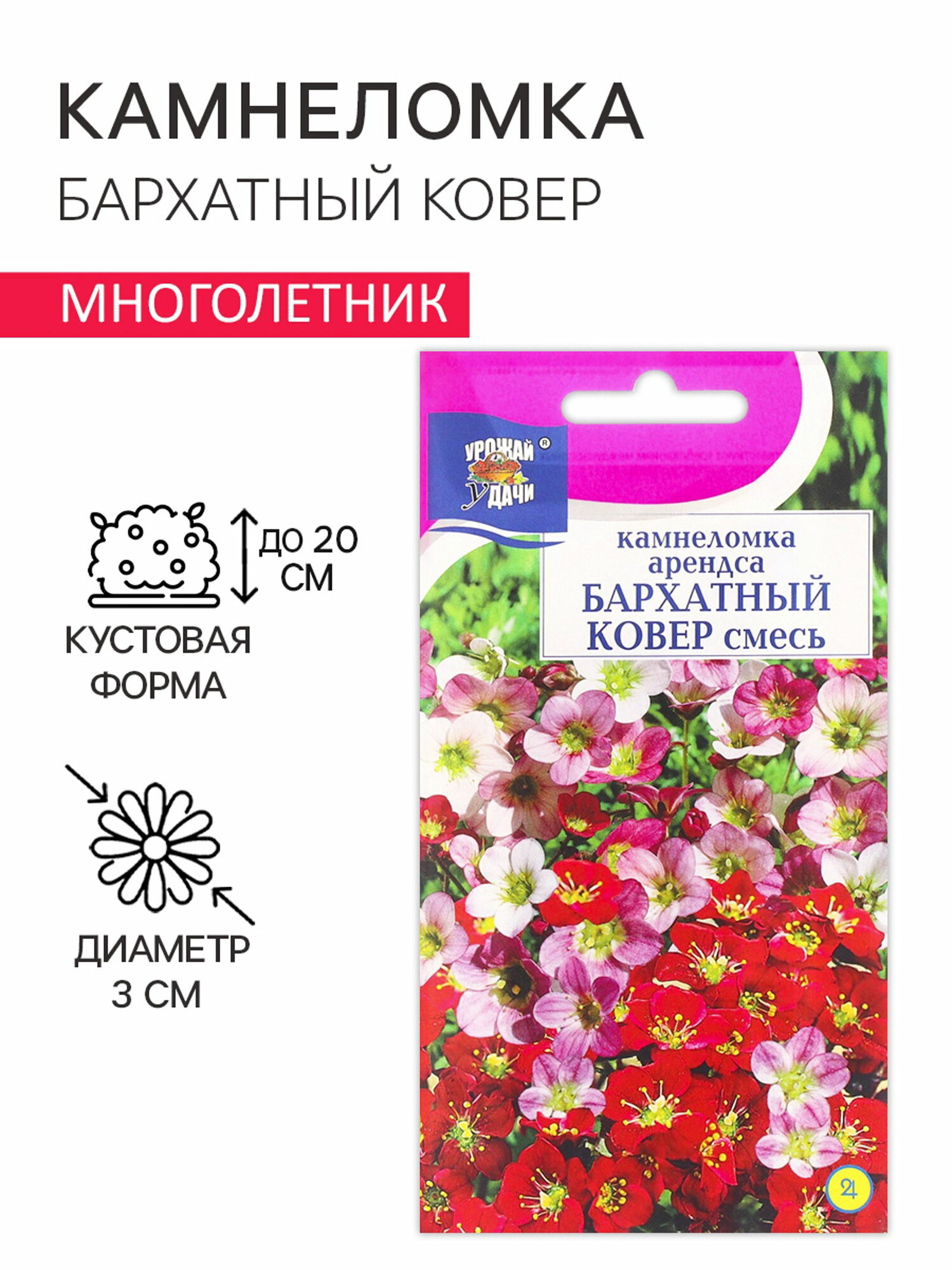 Семена цветов Камнеломка  Бархатный ковер   0 01 г  место выращивания  открытый грунт