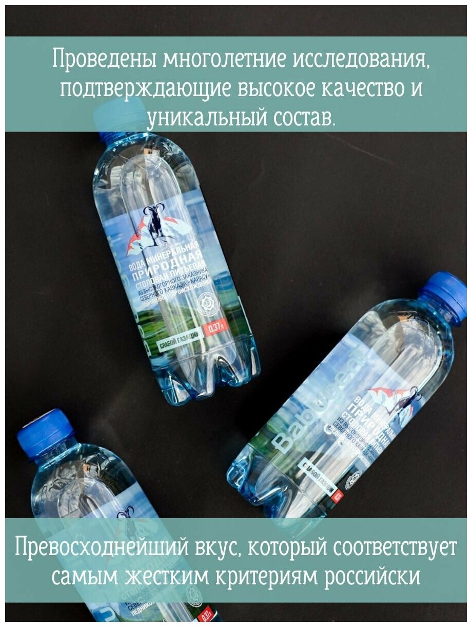Вода природная минеральная питьевая BabugenT , газированная. Пластик, 12 шт. по 0,37 л - фотография № 7