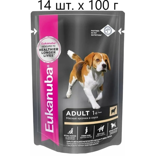 Влажный корм для собак Eukanuba Adult 1+ years, для здоровья кожи и шерсти, c ягненком, 14 шт. х 100 г (кусочки в соусе)