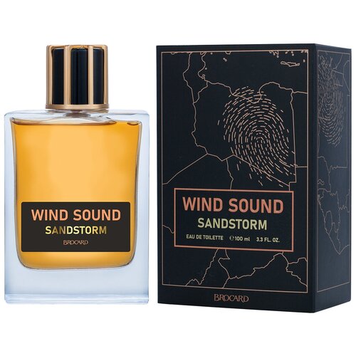 Мужская туалетная вода Brocard Wind Sound. Sandstorm 100 мл brocard wind sound whirlwind муж 100 мл edt