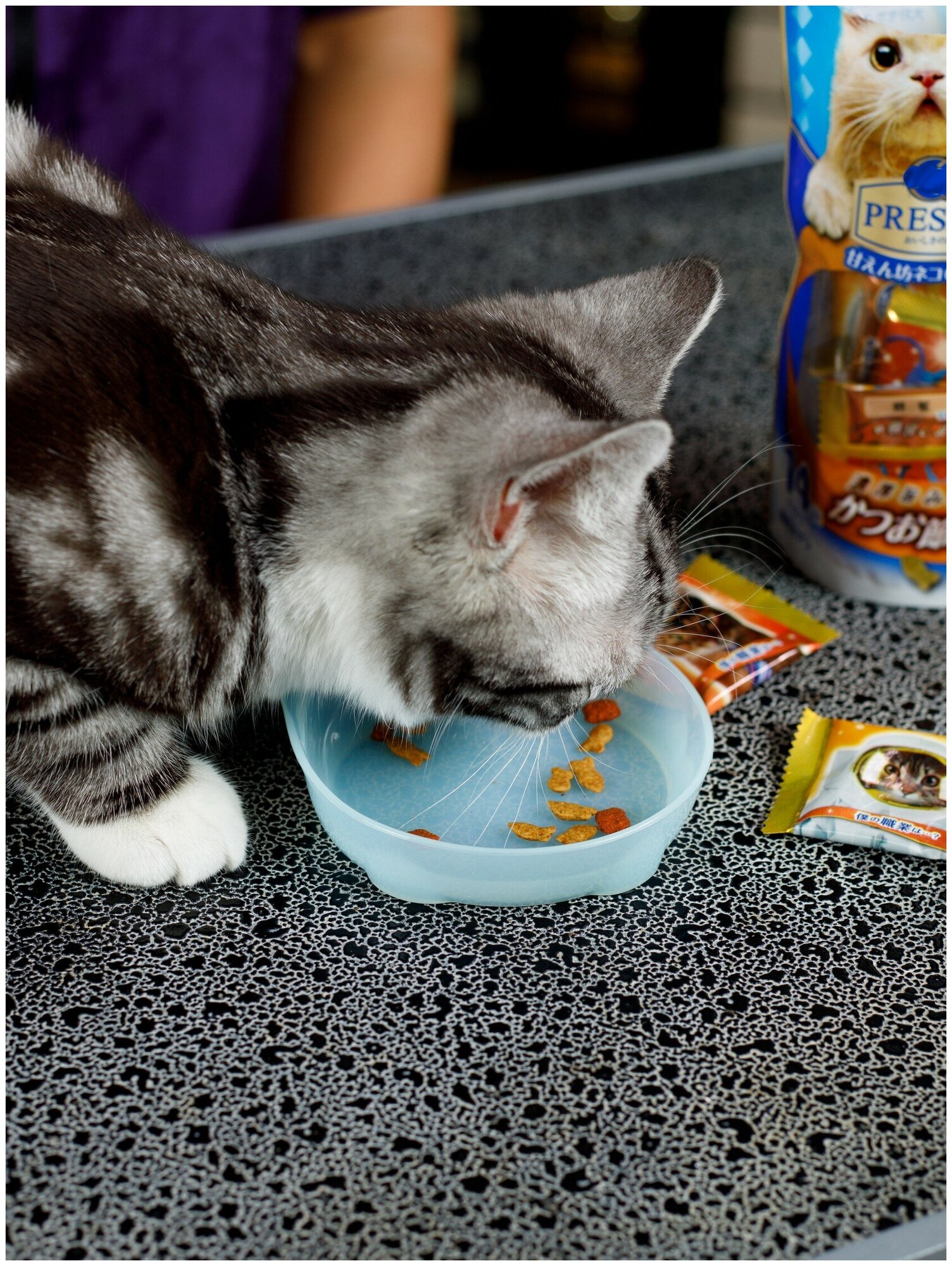 Лакомство для кошек Japan Premium Pet, хрустящий корм PRESENT для избалованных котов на основе сушеного тунца бонито, 42г - фотография № 7