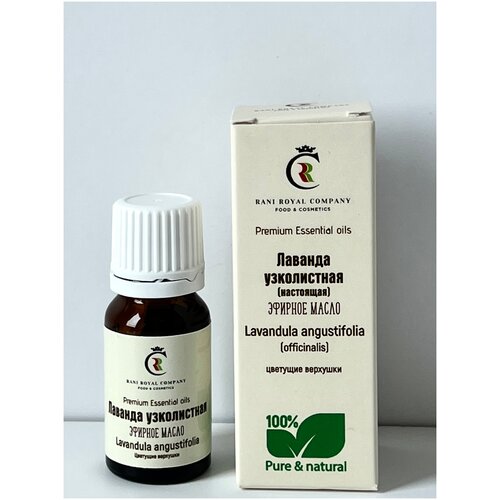 Лаванда узколистная (Настоящая). Натуральное эфирное масло.
