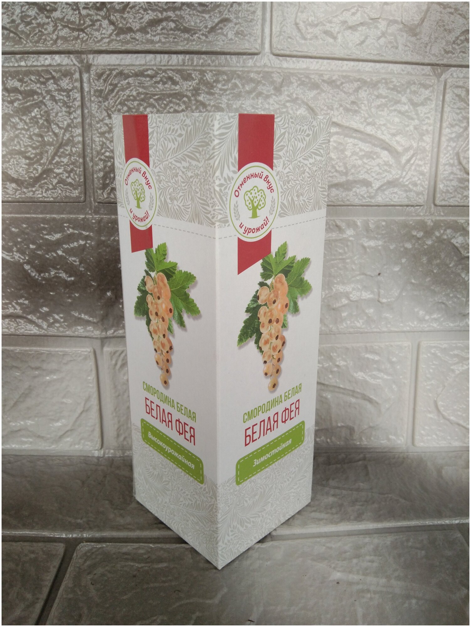 фото Комплект посадочного материала коробочный "Смородина белая "Белая фея", 1 штука