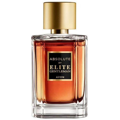 AVON туалетная вода Absolute by Elite Gentleman, 50 мл, 50 г