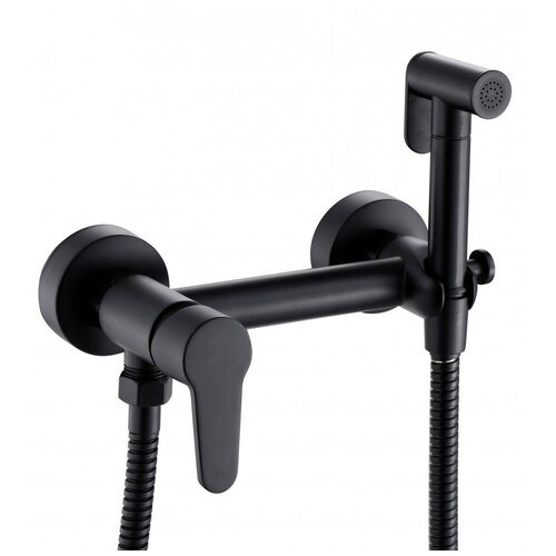 Смеситель с гигиеническим душем, комплект для гигиенического душа, смеситель биде Hansen H62202-C