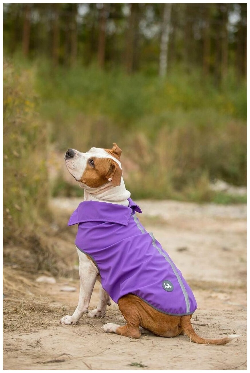 Накидка для собак Одежда для животных - фотография № 8