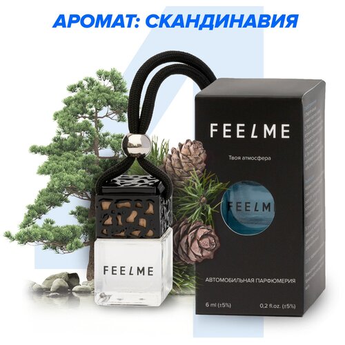 Ароматизатор для автомобиля, автопарфюм FEELME №4 Скандинавия