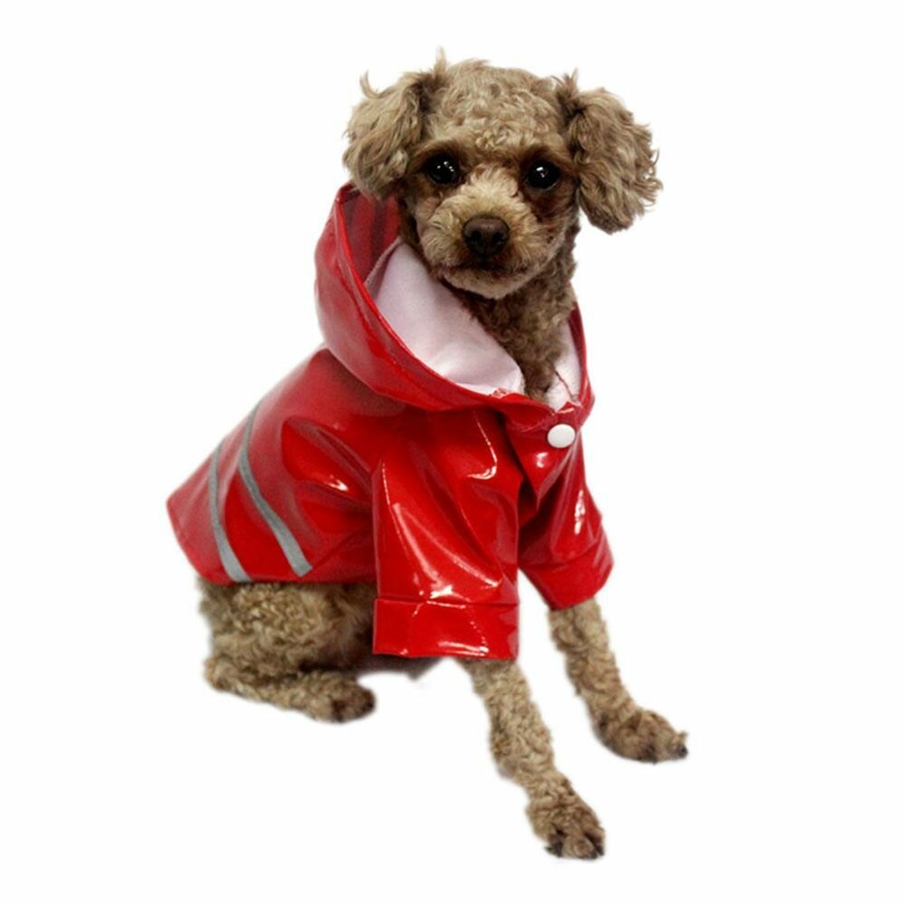 Плащ-дождевик с капюшоном для собак мелких и средних пород, размер S - фотография № 2
