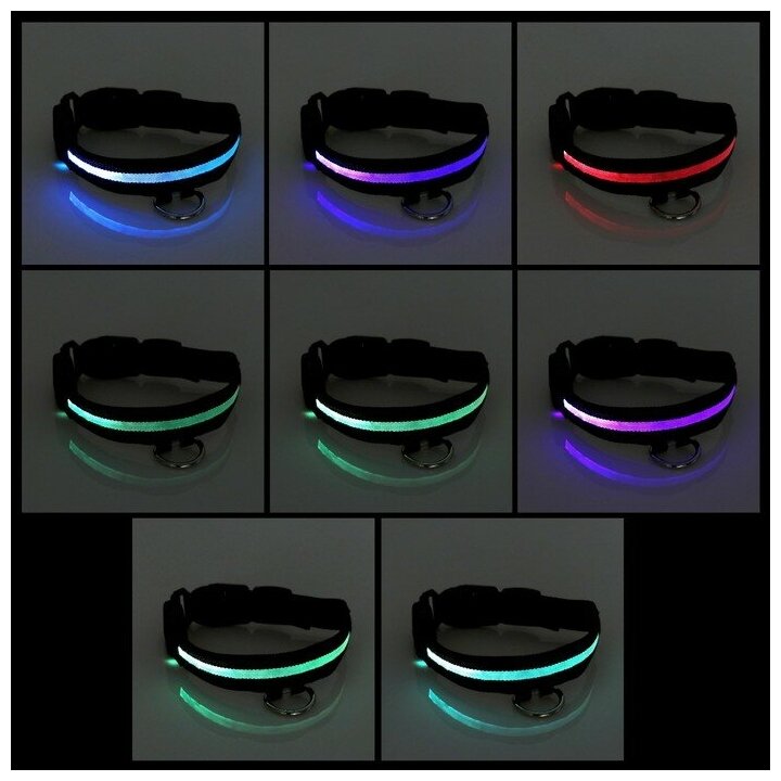 Ошейник с подсветкой, зарядка от USB, до 45 см, 3 режима свечения, чёрный - фотография № 11