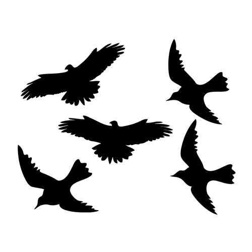 Наклейки-стикеры: силуэты хищных птиц (42 x 30) см - V28 Комплект 10 штук