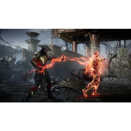 Mortal Kombat 11 (Steam; PC; Регион активации СНГ)