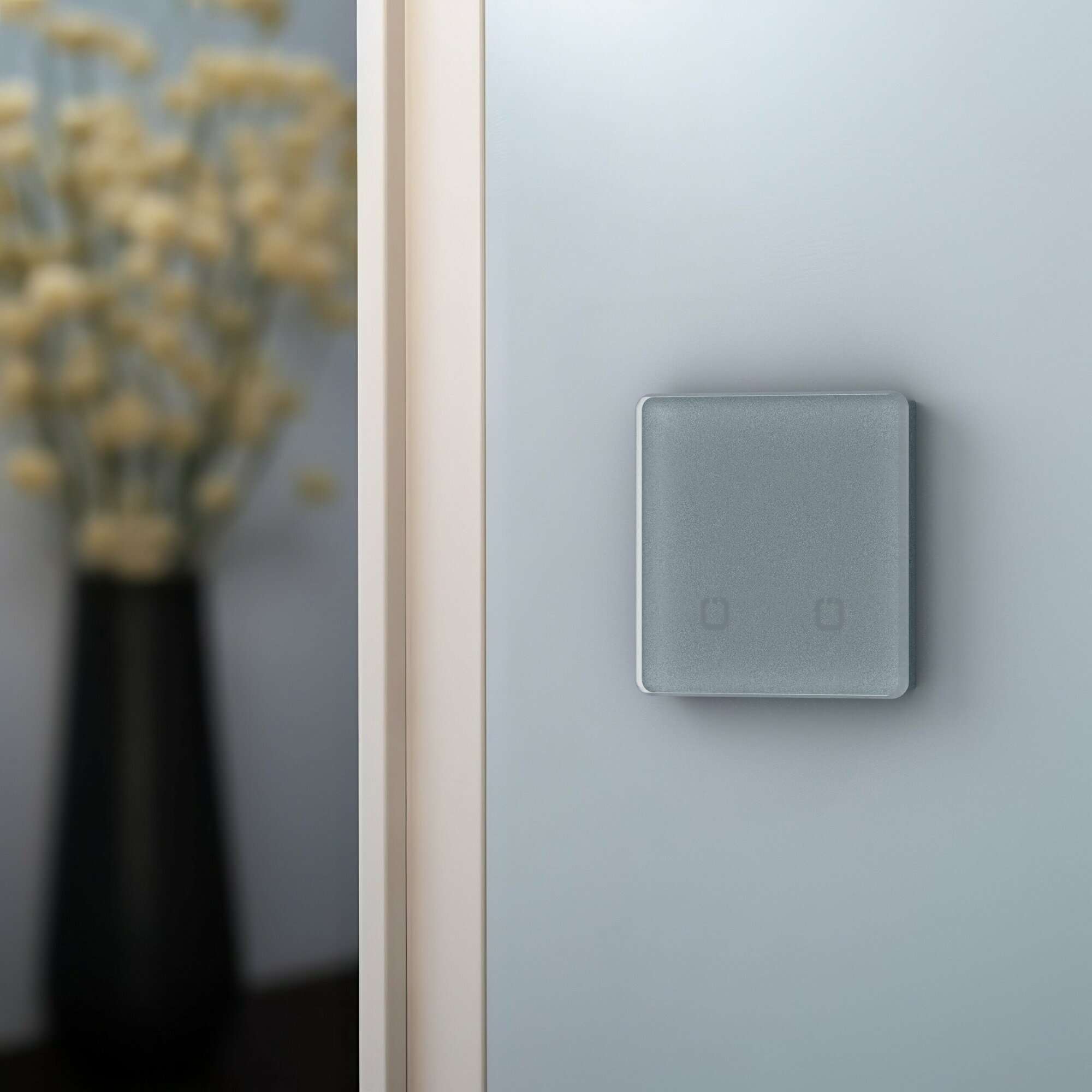 фото Радиовыключатель SN-R2