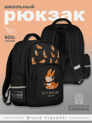 Изображение товара Рюкзак Bruno Visconti классический с эргономичной спинкой "забавный корги"