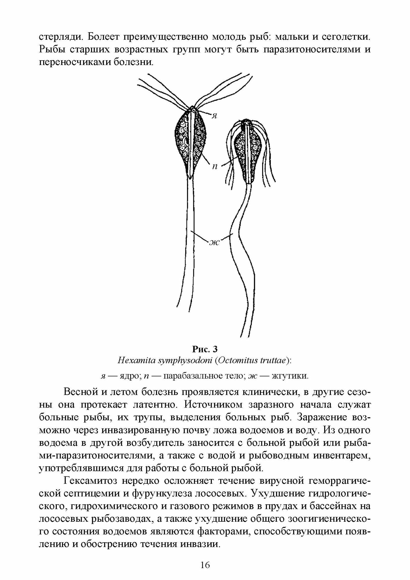 Паразитарные болезни рыб.Уч.пос - фото №7