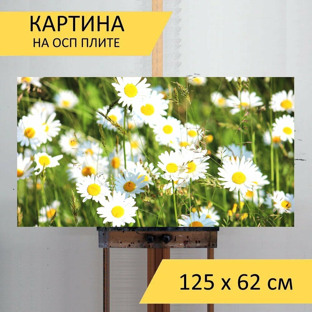 Картина на ОСП "Ромашки, луг, белый" 125x62 см. для интерьера на стену