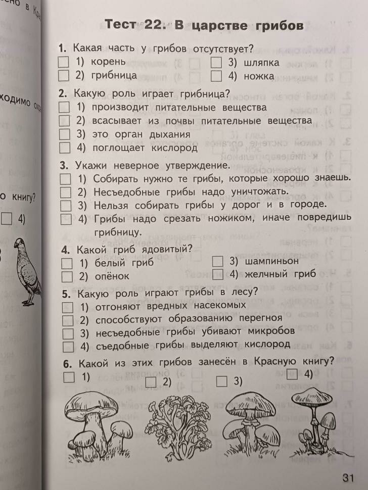 Окружающий мир. 3 класс. Контрольно-измерительные материалы - фото №16