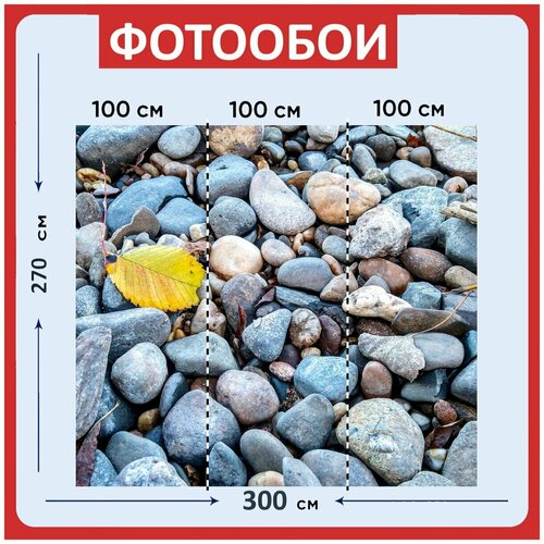 Фотообои Камни листья желтый 300x270 см флизелиновыена стену 3940₽