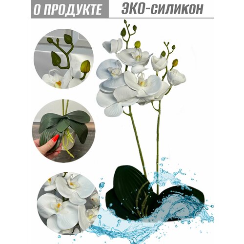 белый