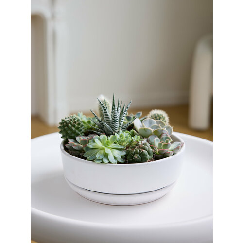 Композиция 