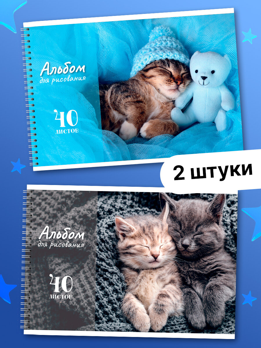 Альбом для рисования AXLER на пружине / на кольцах, 40 листов, А4, 2 шт.