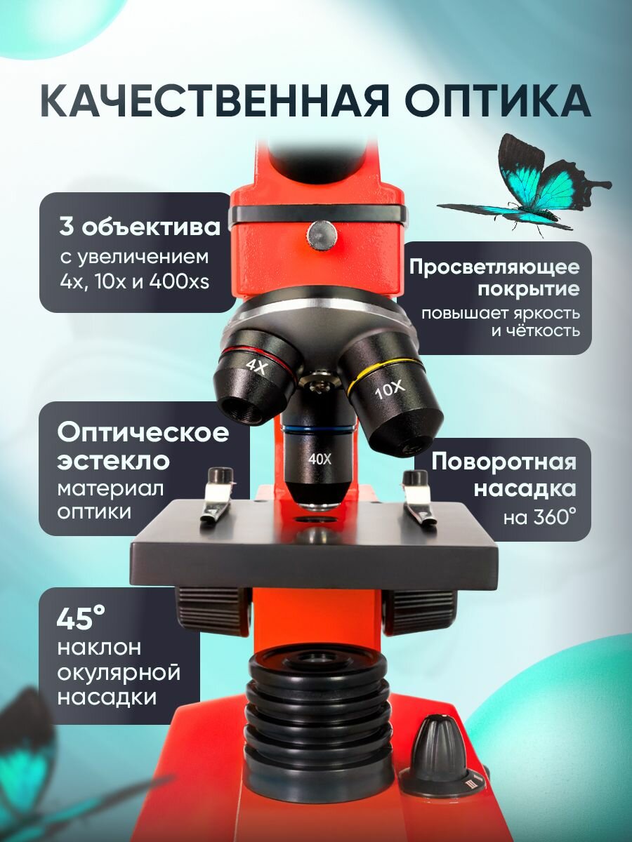 Микроскоп Levenhuk Rainbow 2L PLUS Orange Апельсин — фото 1