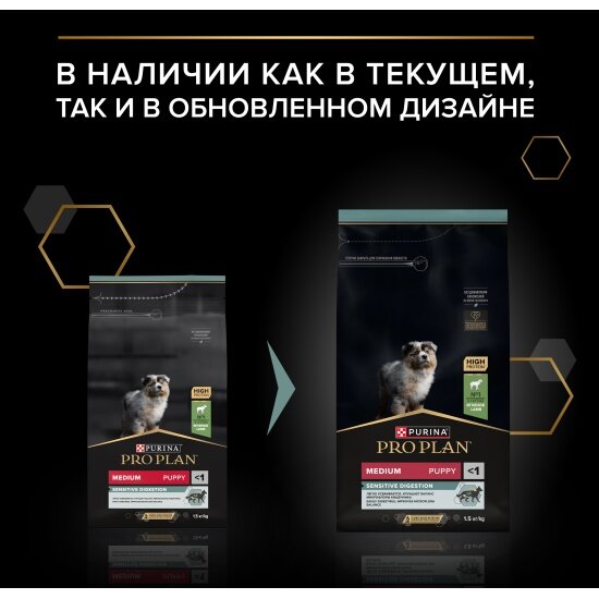 Корм сухой для собак средних пород Pro Plan при чувствительном пищеварении с ягненком 1.5 кг — фото 1