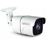 WiFi камера видеонаблюдения Ginzzu HWB-2034A 2Mp - изображение