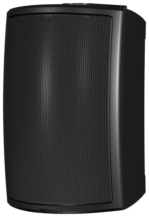 Акустическая система Tannoy AMS 6DC black