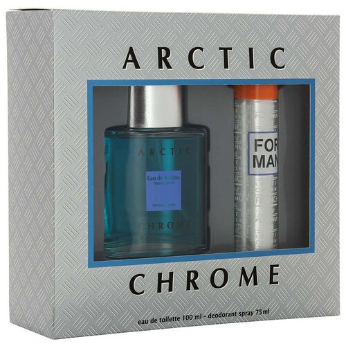 Туалетная вода мужская ARCTIC CHROME, 100 мл