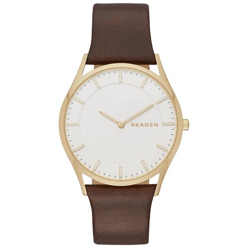 Наручные часы Skagen SKW6225