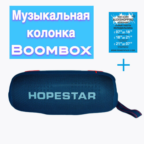 Мощная беспроводная колонка HOPESTAR Авторский магнит AlexShoping на холодильник 499900₽