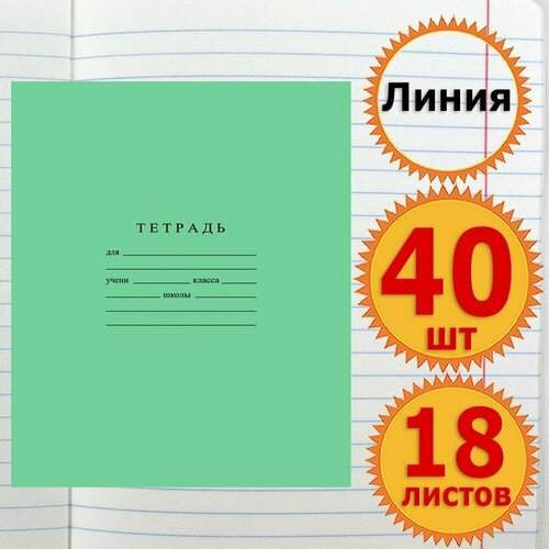 Тетрадь школьная для учебы в Линейку 18 листов Комплект 40 штук Классика, Линия, Зеленая